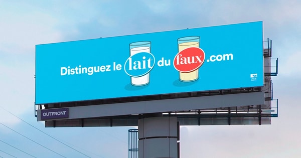 Distinguez le lait du faux | Grenier aux nouvelles