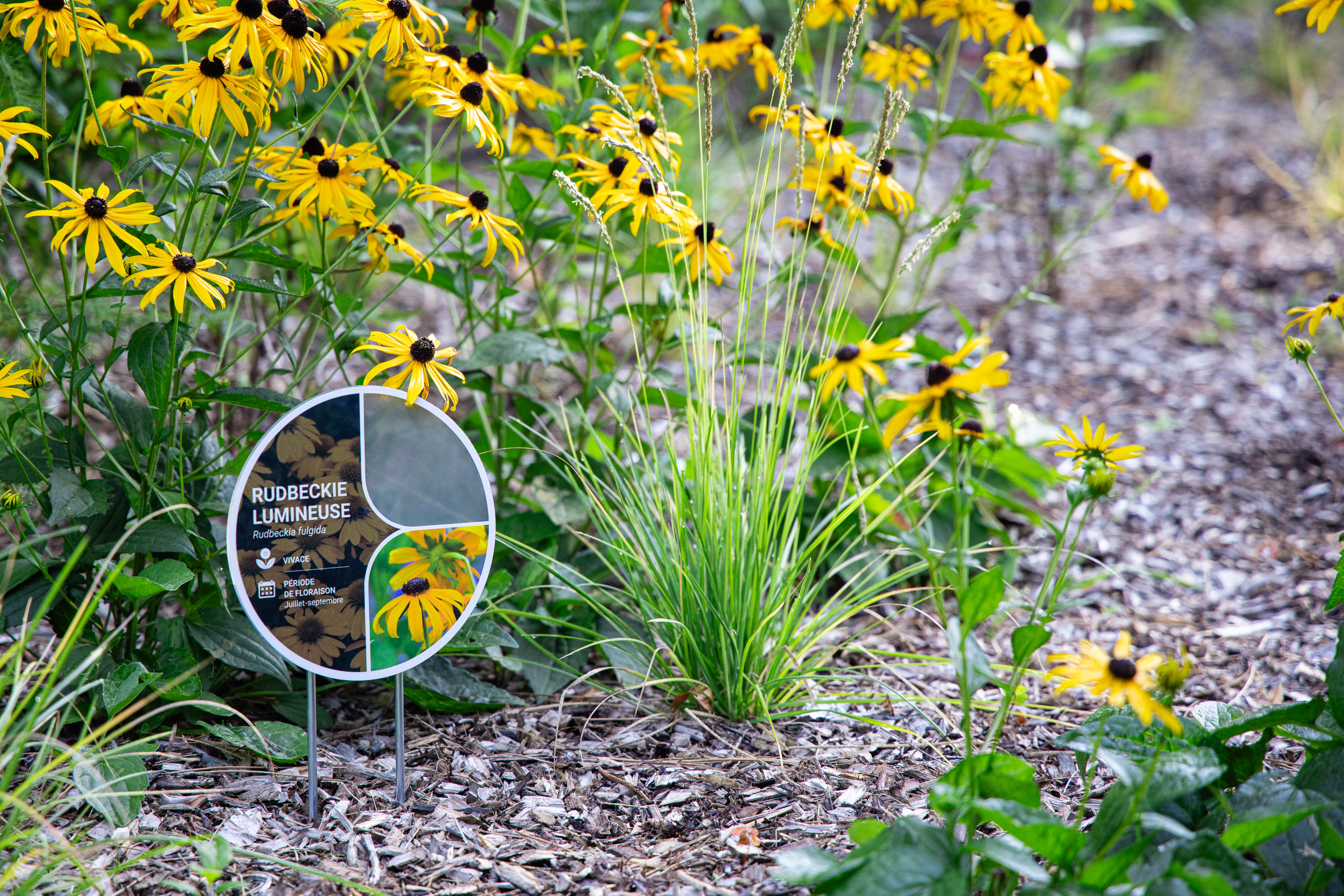 parc Camille Michel 3