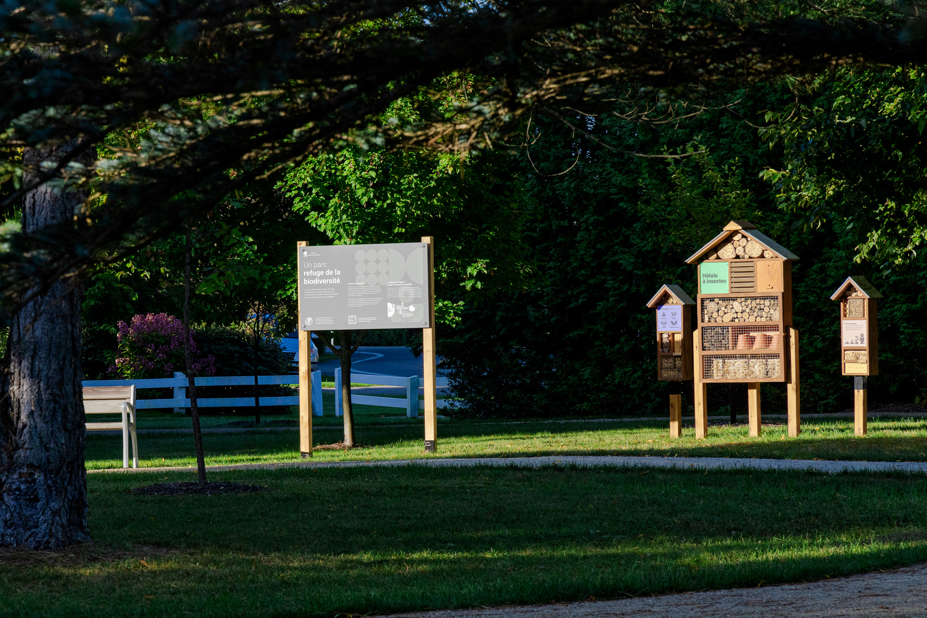 parc Camille Michel 6
