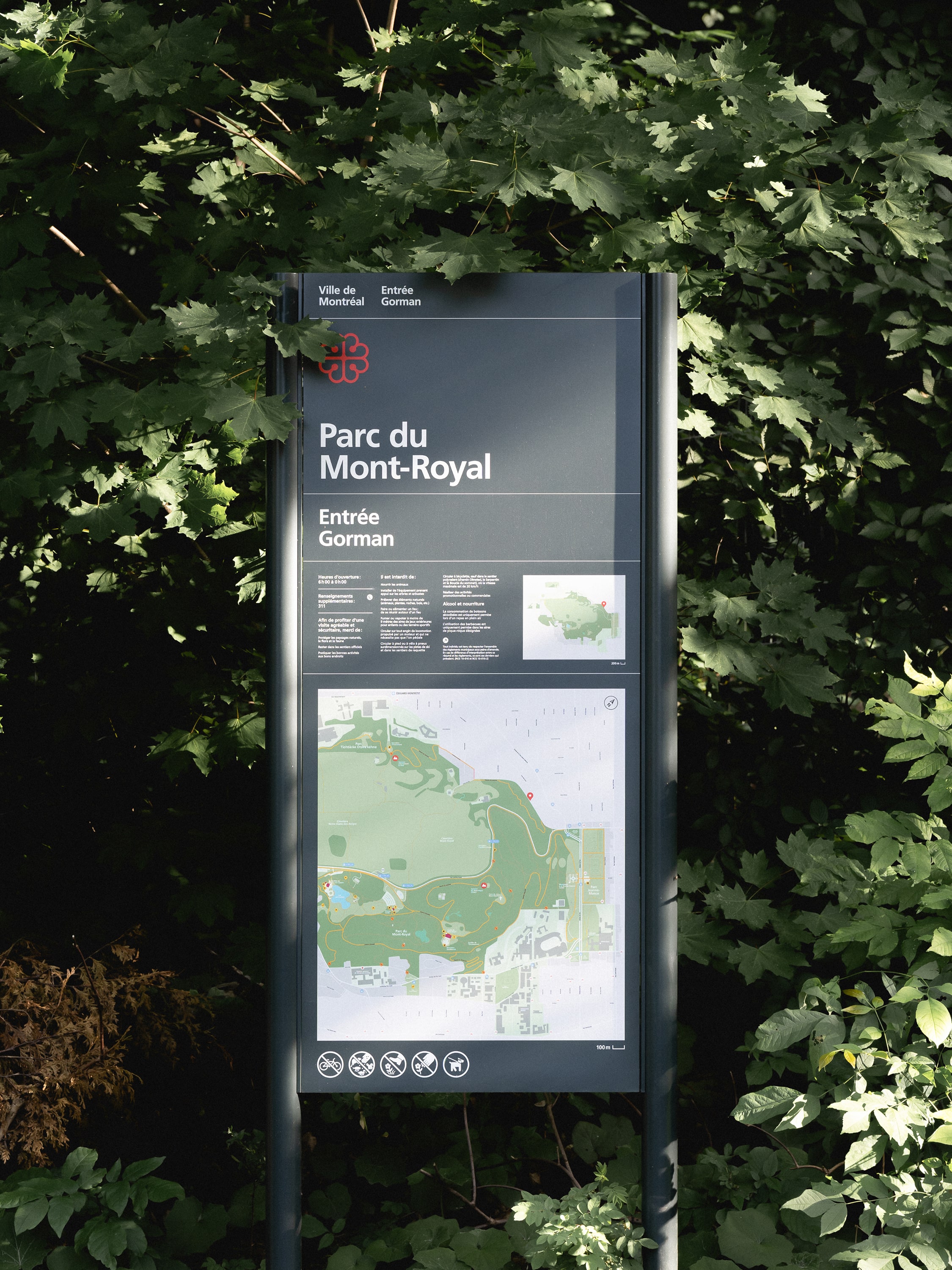 Parc du Mont-Royal 2