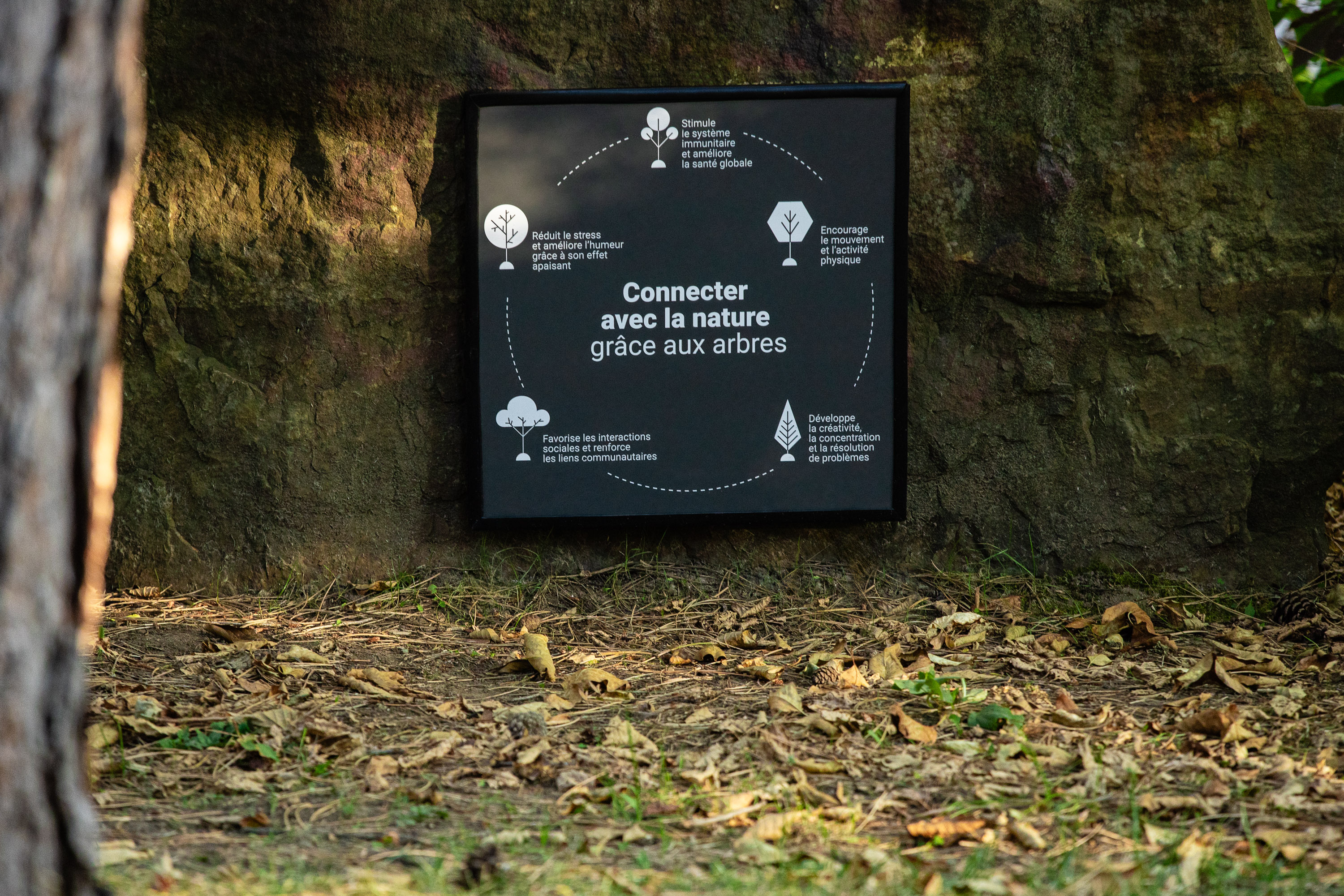 parc Camille Michel 5