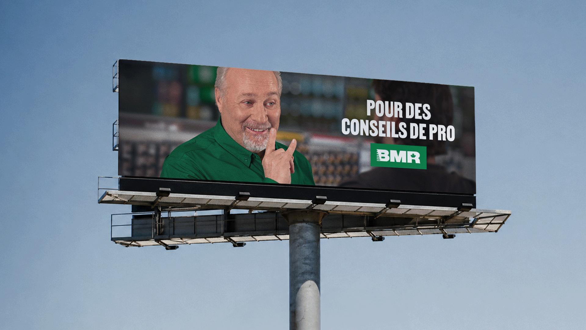 BMR 6