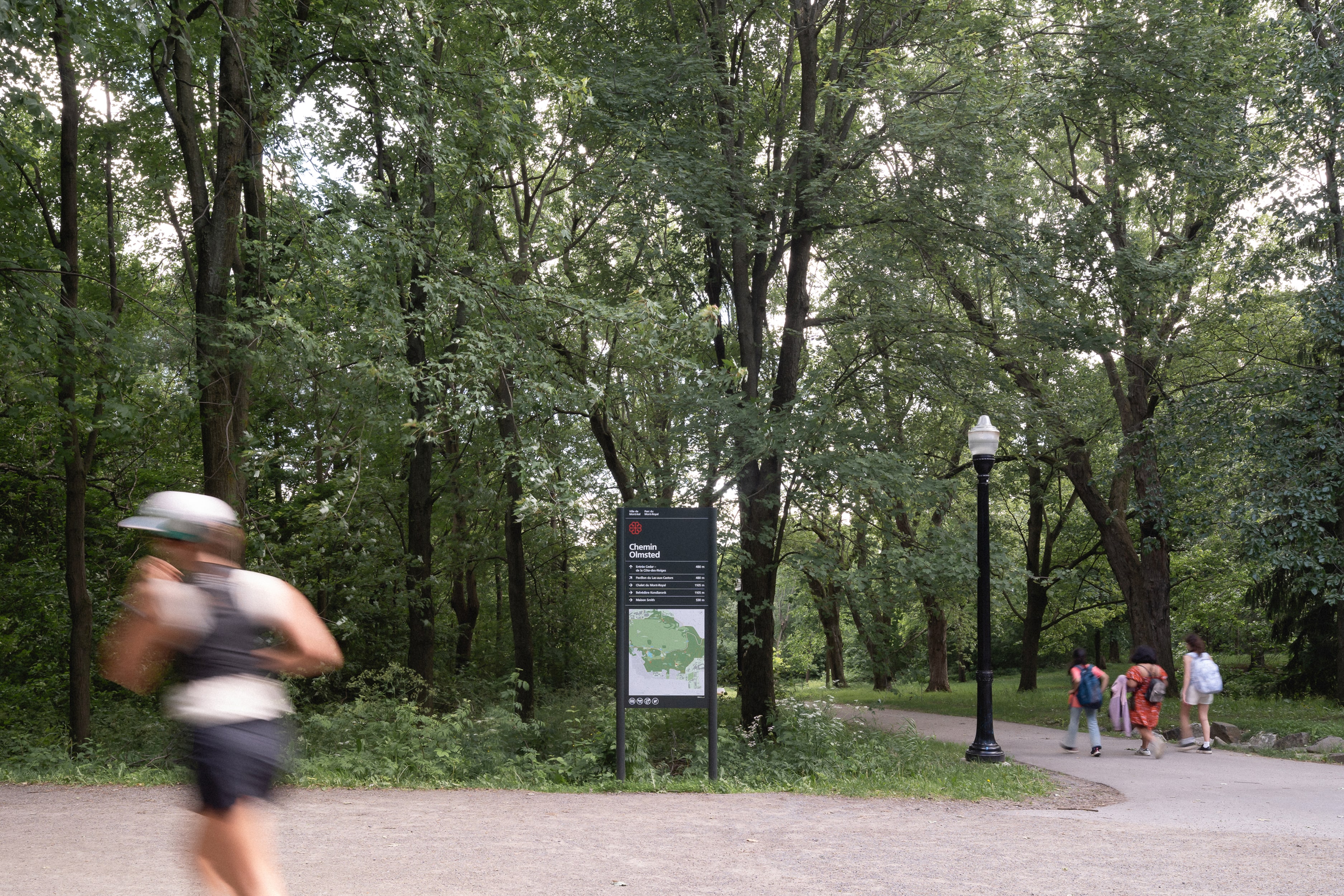 Parc du Mont-Royal 8