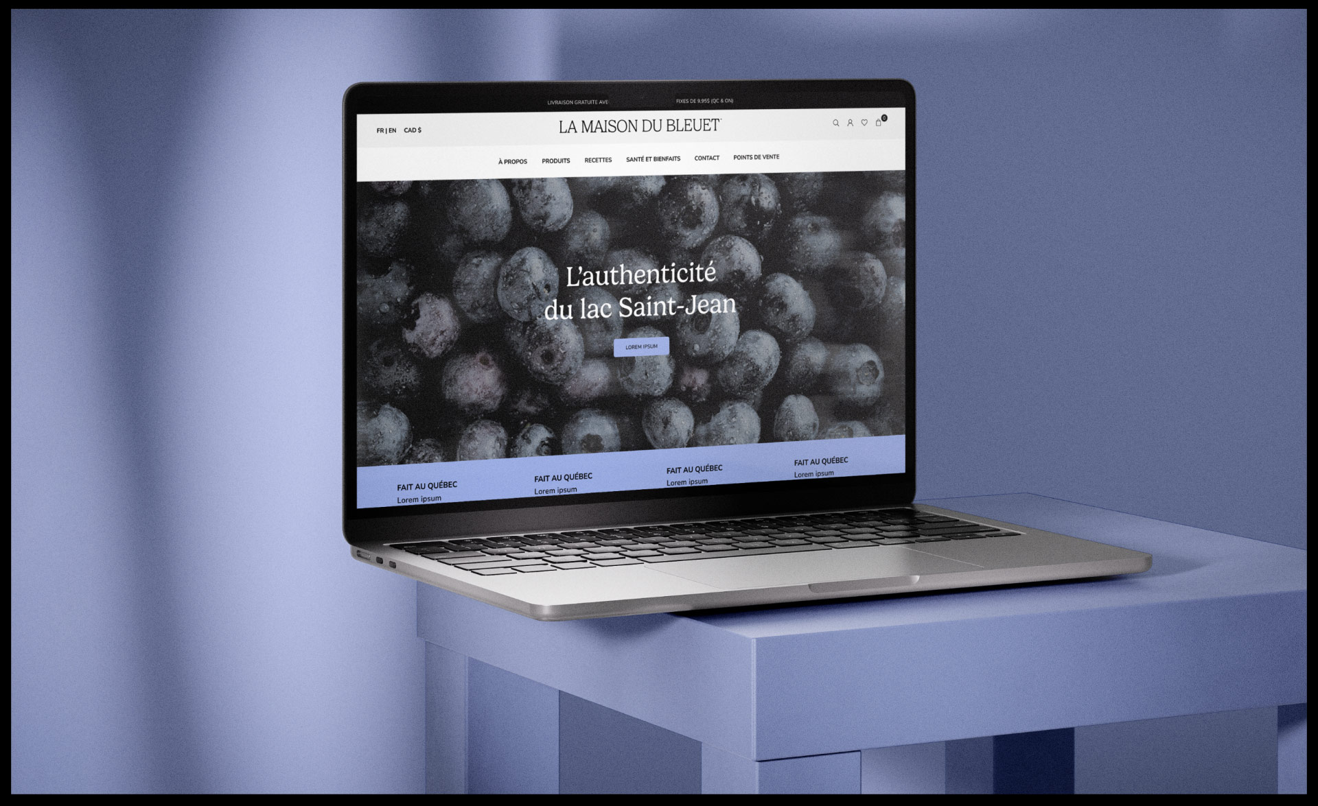 La Maison du Bleuet 5