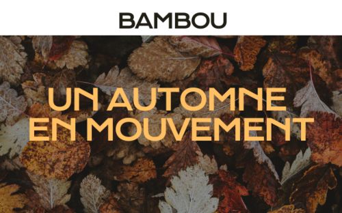 bambou 3