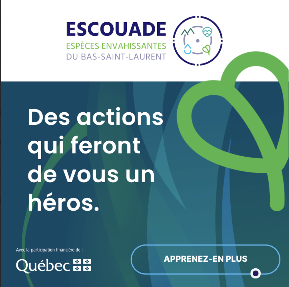 Sensibilisation d'espèces envahissantes Bas-St-Laurent 3