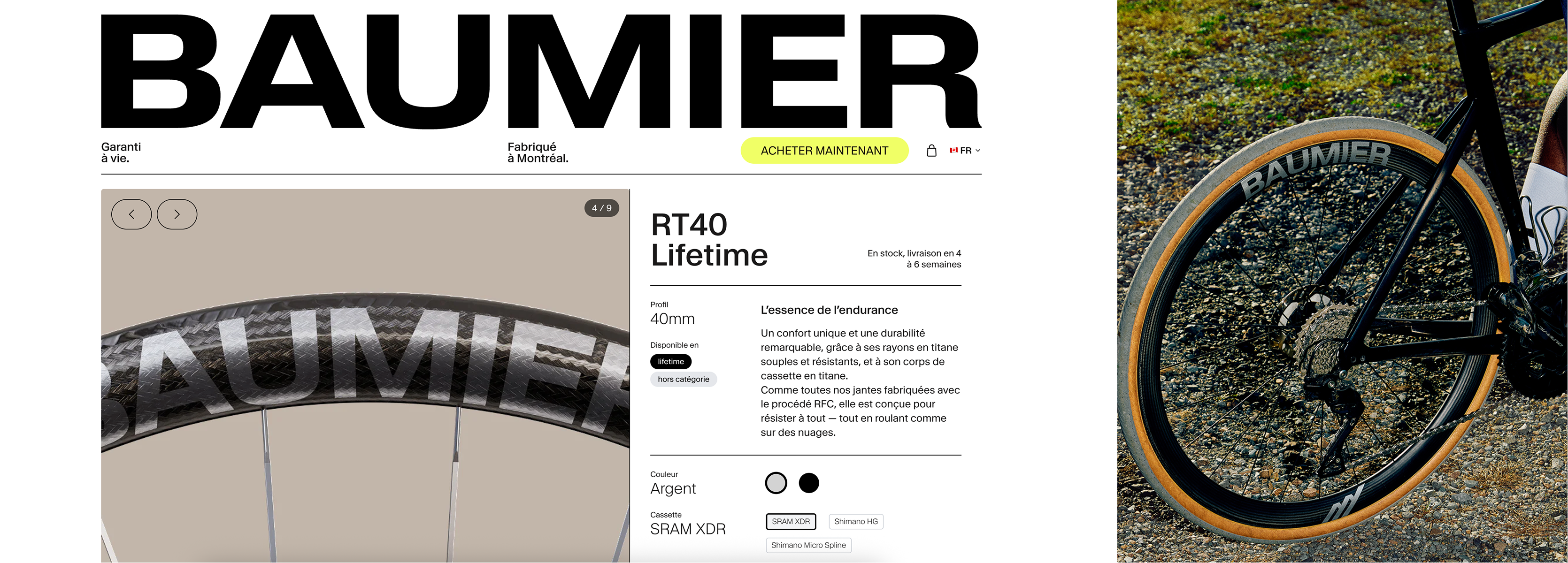 Baumier 14