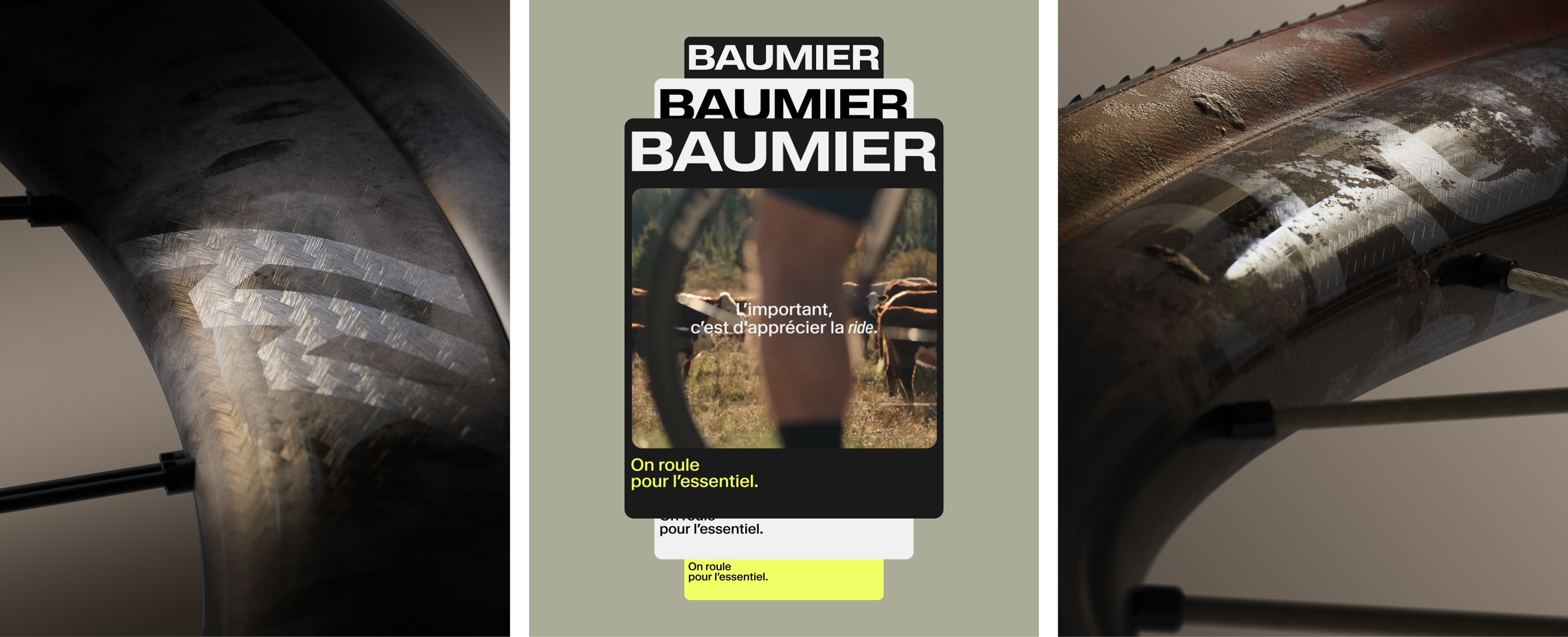 Baumier 16