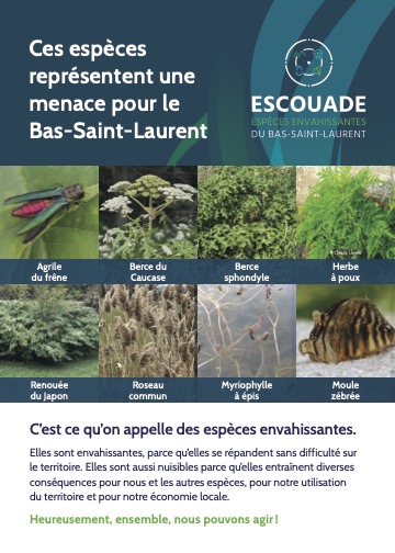 Sensibilisation d'espèces envahissantes Bas-St-Laurent2