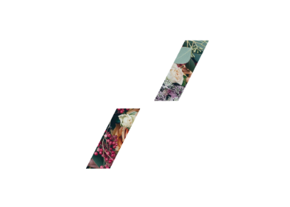 Agence Culte logo