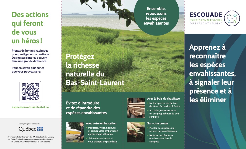 Sensibilisation d'espèces envahissantes Bas-St-Laurent 1