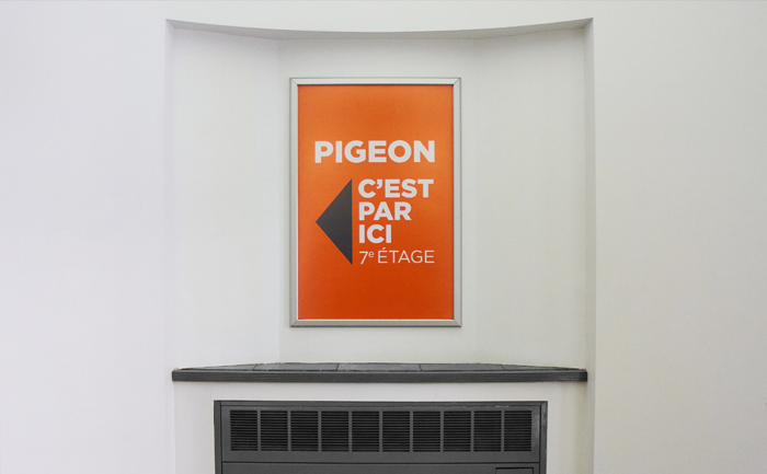 pigeon 02