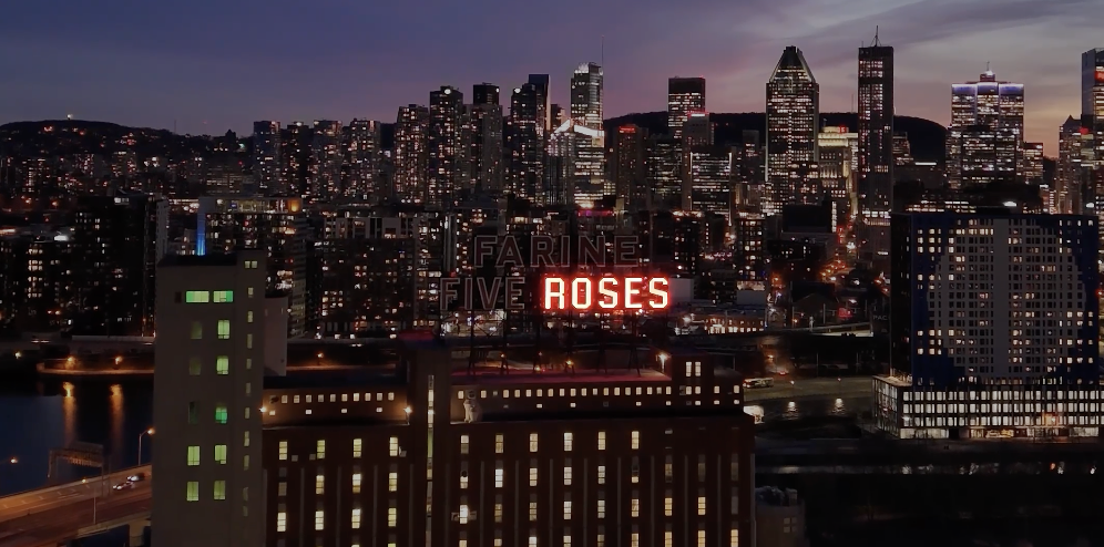 Roses
