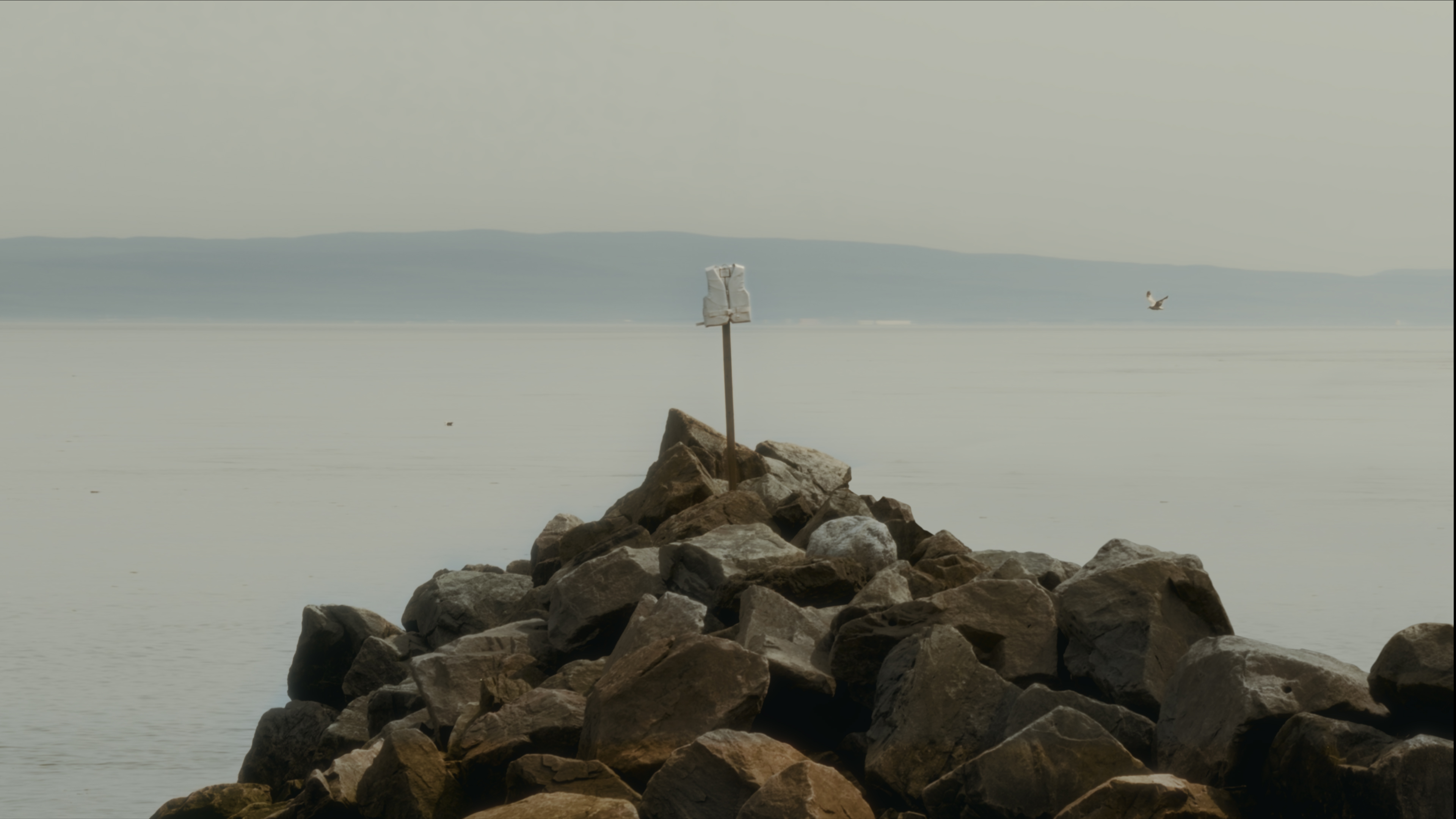 La Société de sauvetage 3