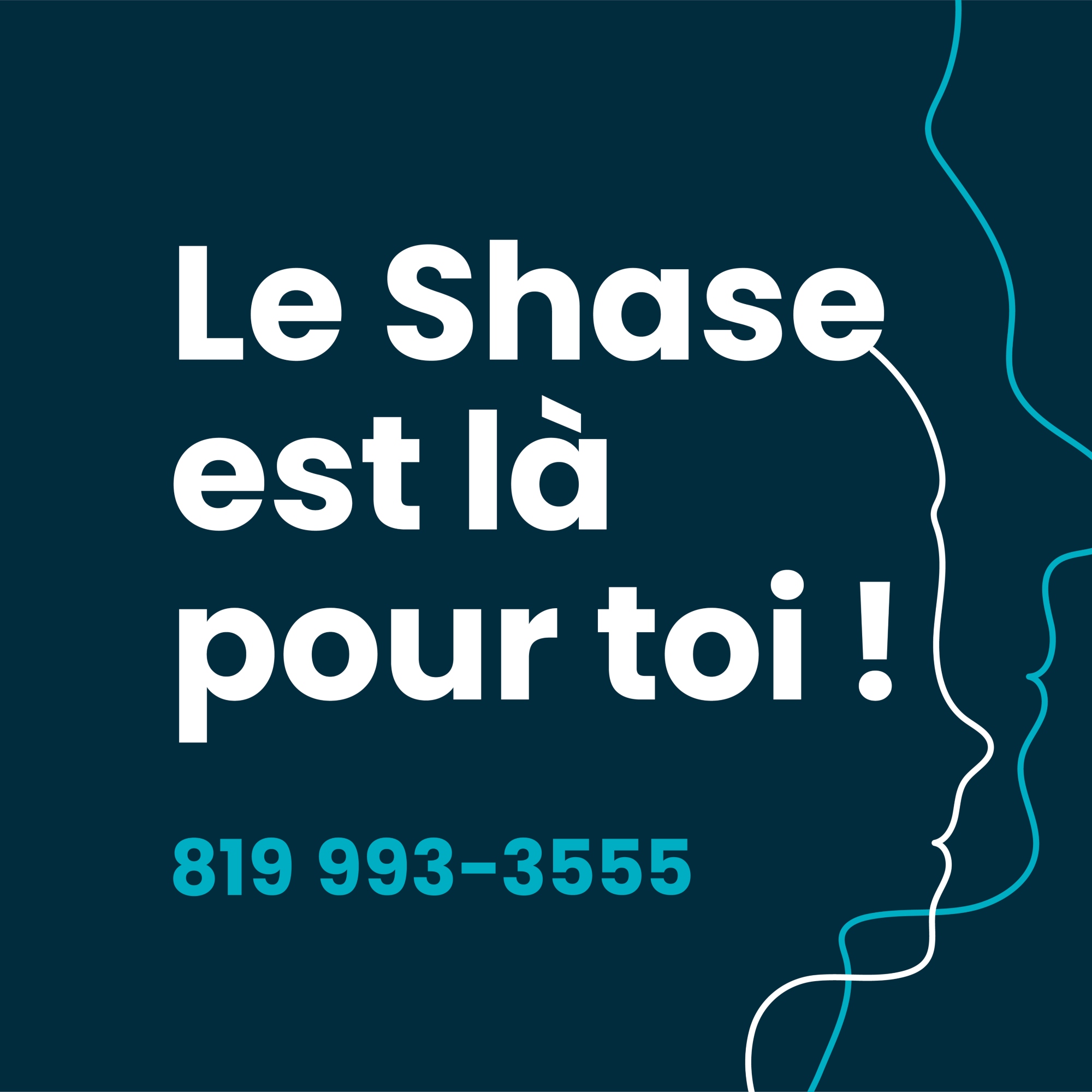 shase 4