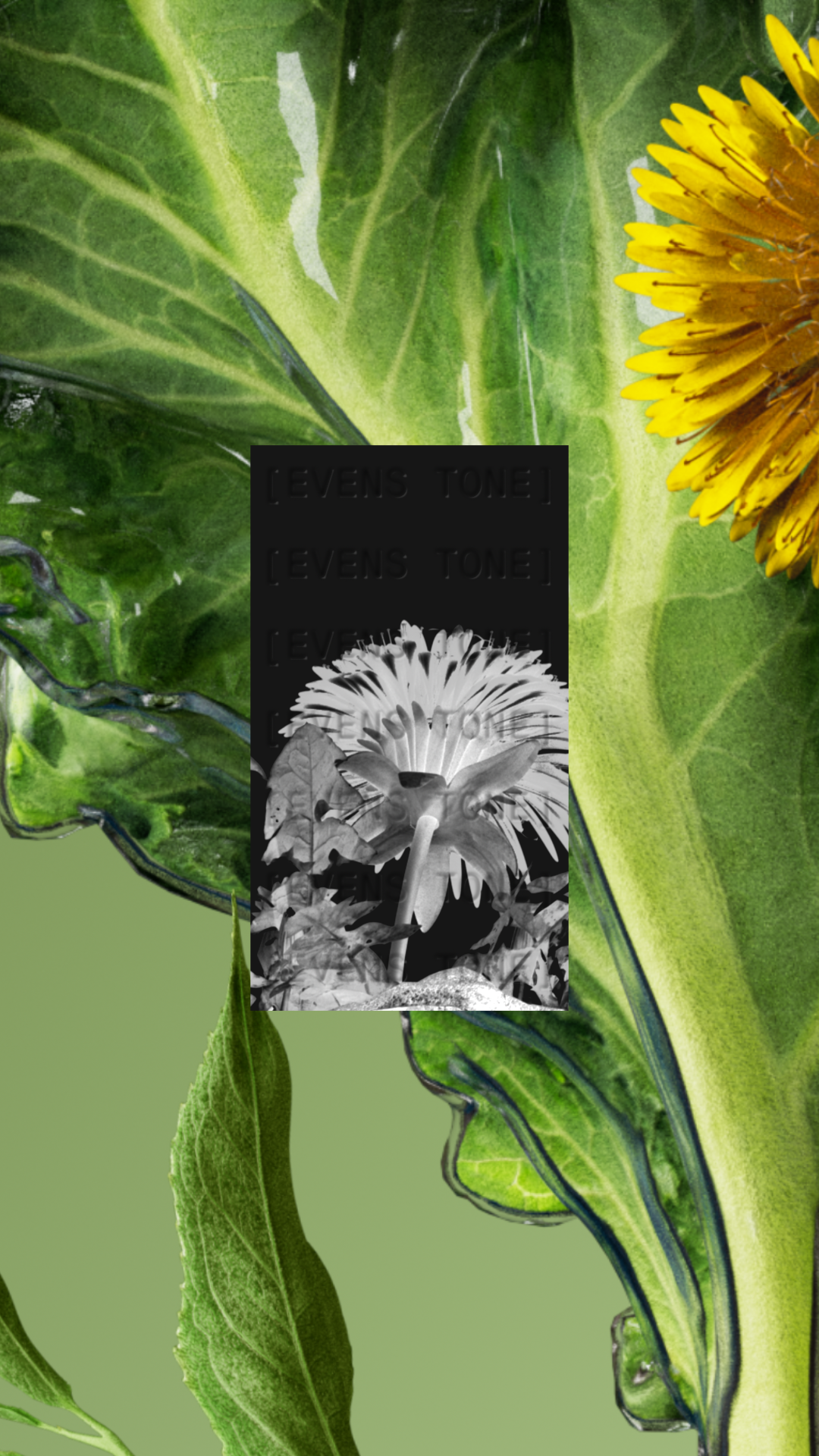 Youth To The People 3