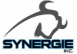 Les Promotions Synergie Inc. Les Promotions Synergie Inc.