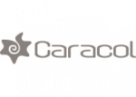 Caracol inc Caracol inc