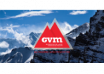 GVM CONSEIL GVM CONSEIL