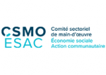 Comité sectoriel de main-d’oeuvre de l’économie sociale et de l’action communautaire (CSMO-ÉSAC) Comité sectoriel de main-d’oeuvre de l’économie sociale et de l’action communautaire (CSMO-ÉSAC)