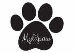 Buy Dogs in Bangalore - Mylilpaw Buy Dogs in Bangalore - Mylilpaw
