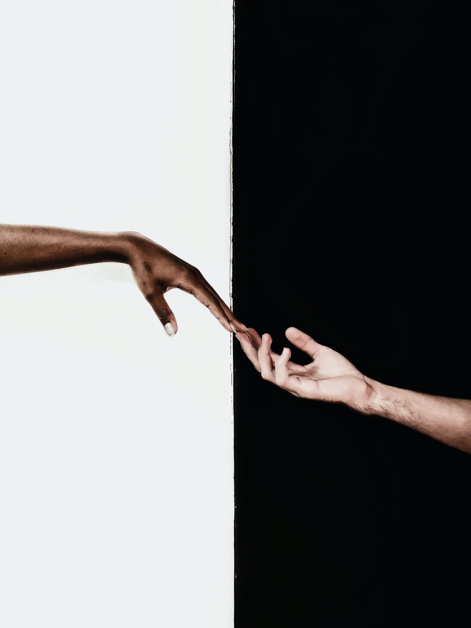 diversité